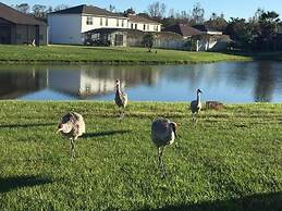 Alamo Vacation Townhomes