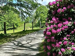 Fire Mountain Resort