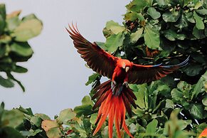 Surf Synergy All-Inclusive Surf Retreat