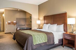 Comfort Inn Edinburg South