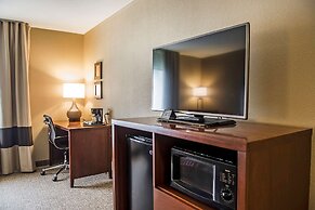 Comfort Inn Edinburg South