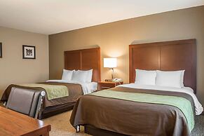 Comfort Inn Edinburg South