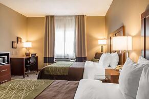 Comfort Inn Edinburg South