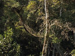 Inkaterra Reserva Amazonica