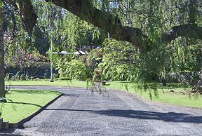 Quinta Da Casa Branca