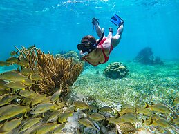 Captain Morgan's Retreat