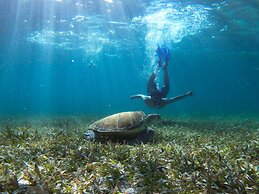 Captain Morgan's Retreat