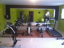ibis Orange Sud