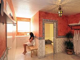 ibis Orange Sud