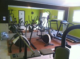 ibis Orange Sud