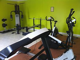 ibis Orange Sud