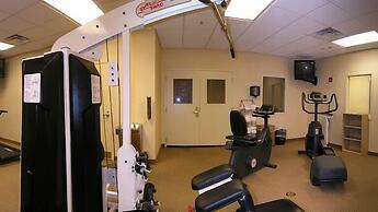 Holiday Inn Chantilly-Dulles Expo Center by IHG