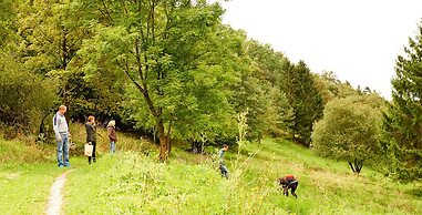 Naturkost-Hotel Harz