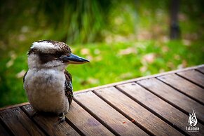 The Bower at Broulee