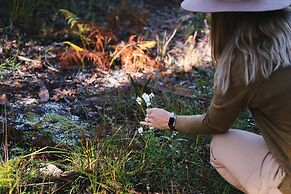 The Bower at Broulee