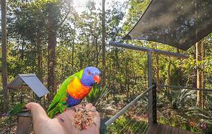 The Bower at Broulee