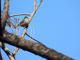 The Bower at Broulee