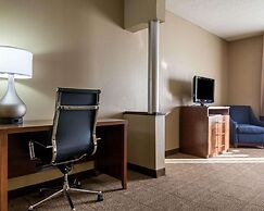 Comfort Suites Central/I-44