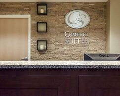 Comfort Suites Central/I-44