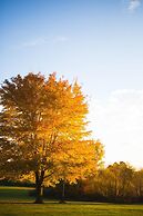 The Ridges Resort on Lake Chatuge