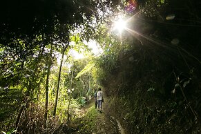The Lakehouse Cameron Highlands