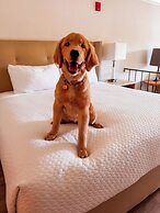 Pelican Inn & Suites