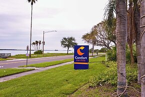 Comfort Suites Clearwater - Dunedin