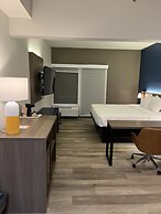 Comfort Suites Clearwater - Dunedin