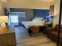 Comfort Suites Clearwater - Dunedin