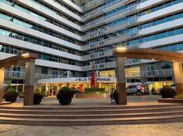 Blue Tree Premium Verbo Divino