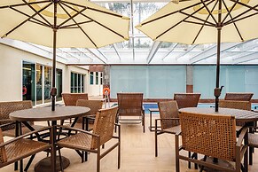 Blue Tree Premium Verbo Divino