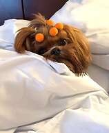 Blue Tree Premium Verbo Divino