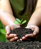 Blue Tree Premium Verbo Divino