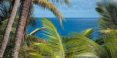 ECO Lifestyle & Lodge