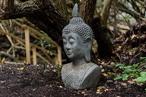 ECO Lifestyle & Lodge