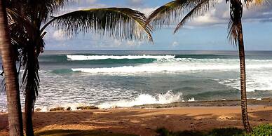 ECO Lifestyle & Lodge