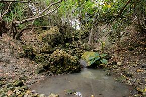 ECO Lifestyle & Lodge