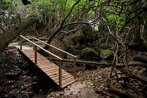 ECO Lifestyle & Lodge