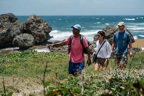 ECO Lifestyle & Lodge