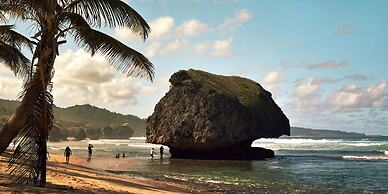 ECO Lifestyle & Lodge