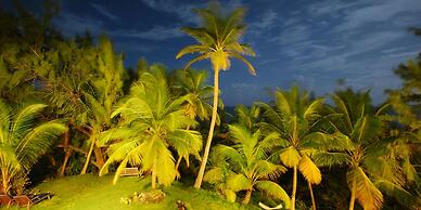 ECO Lifestyle & Lodge