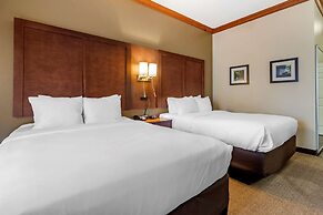 Comfort Inn & Suites Statesboro - University Area