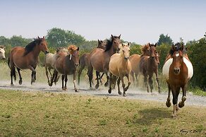Hampton Inn & Suites Chincoteague Waterfront