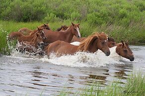 Hampton Inn & Suites Chincoteague Waterfront