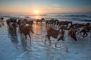 Hampton Inn & Suites Chincoteague Waterfront