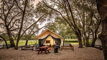 Westgate River Ranch Resort & Rodeo