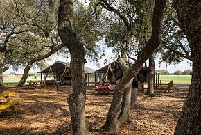 Westgate River Ranch Resort & Rodeo
