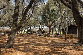 Westgate River Ranch Resort & Rodeo