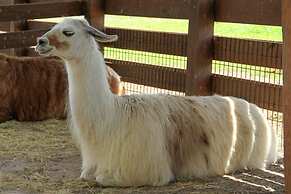 Westgate River Ranch Resort & Rodeo