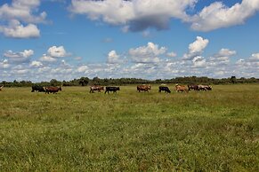 Westgate River Ranch Resort & Rodeo